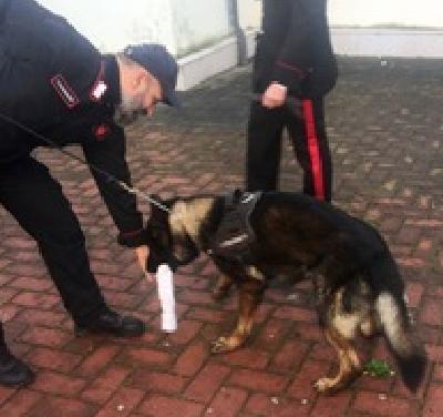 Controlli antidroga nelle scuole trovato hashish in un cortile 