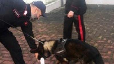 Controlli antidroga nelle scuole trovato hashish in un cortile