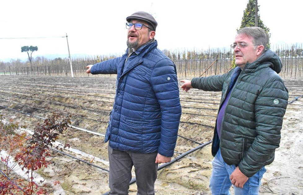 «Vengono rivendute in zona le piantine rubate nei vivai» 