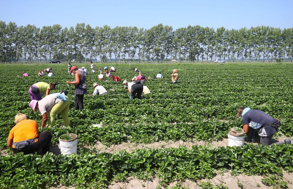 «L’Inps paga in ritardo le indennità di malattia» 