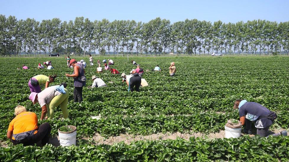 «L’Inps paga in ritardo le indennità di malattia»