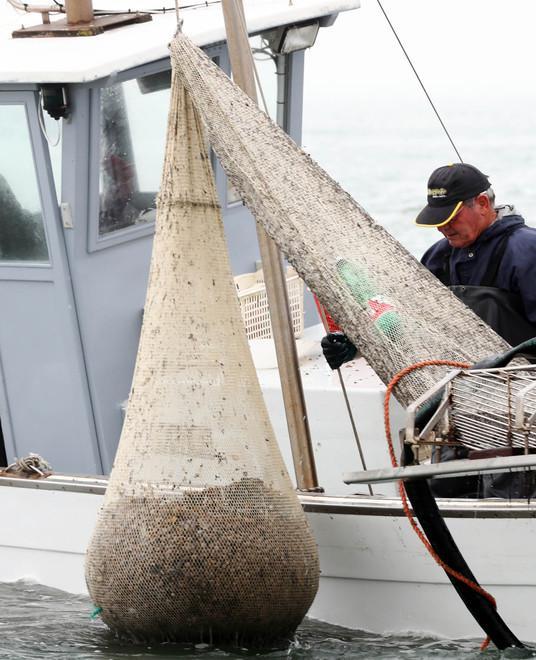 Futuro delle concessioni pesca «Serve un gestore unico» 
