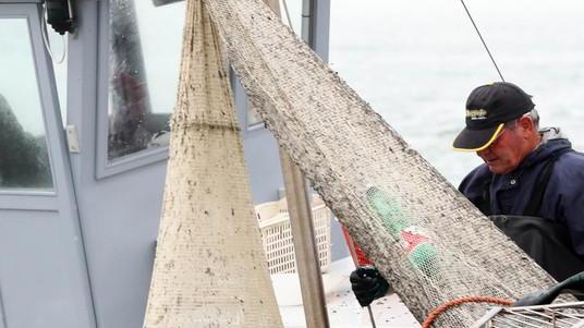 Futuro delle concessioni pesca «Serve un gestore unico»