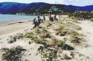 Volontari in azione a ripulire le dune di Lacona