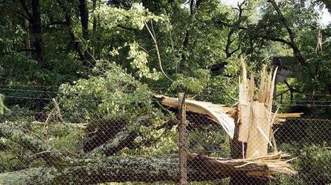 Tempesta di fine ottobre: come chiedere i danni