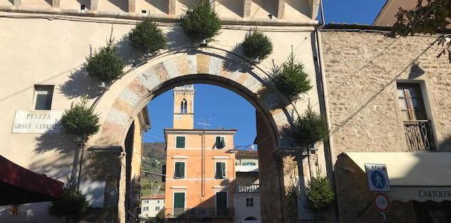 Nove abeti installati sulla Rocchetta: scoppia il caso 