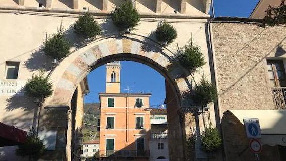 Nove abeti installati sulla Rocchetta: scoppia il caso