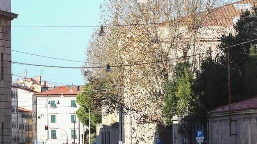 Pista ciclabile in via Galilei tra il Cisternone e le scuole