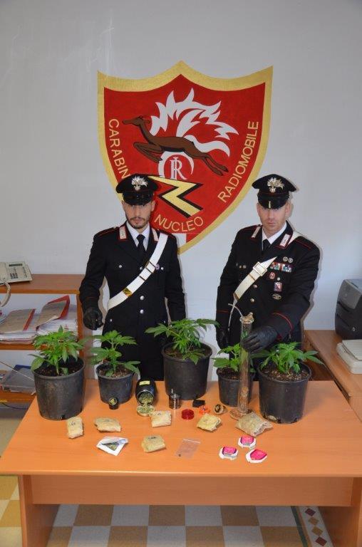 I carabinieri con alcune piantine di marijuana sequestrate