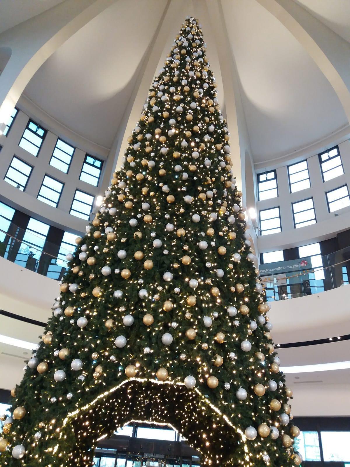 L'albero di Natale ai Gigli