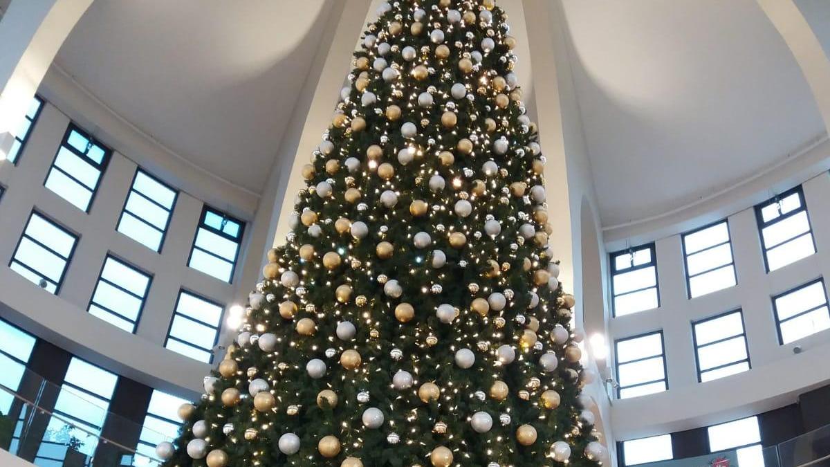 L'albero di Natale ai Gigli