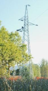 Uno dei tralicci costruiti a Mutigliano