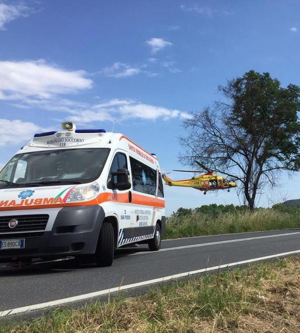 Cavallo scalcia e la colpisce donna perde conoscenza 