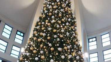 Albero di Natale alto 16 metri