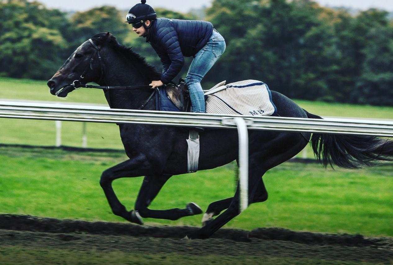 Un fantino di 17 anni da Sassari all'Inghilterra per inseguire la leggenda di Frankie Dettori