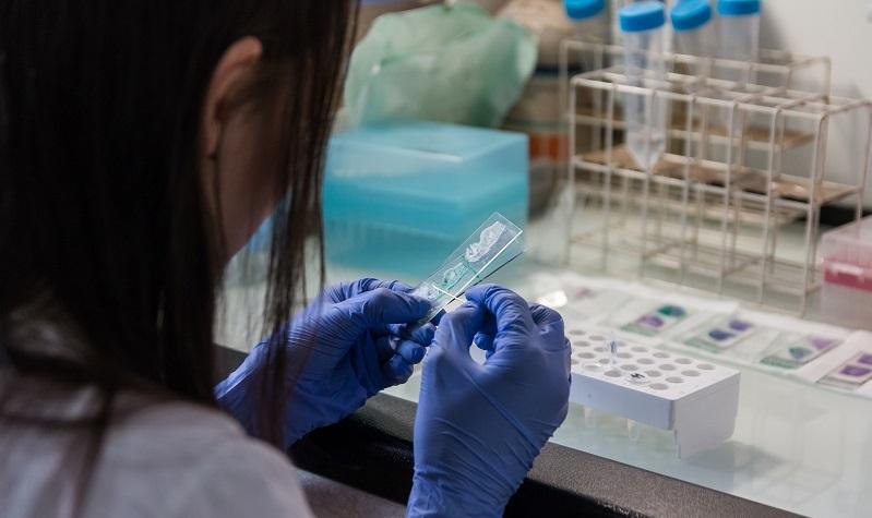 Sassari, il sindaco: «No al trasloco a Cagliari dei test Hpv» 