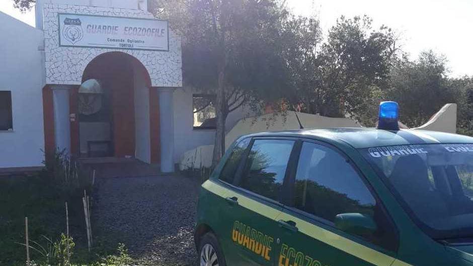 Guardie ecozoofile in piena attività