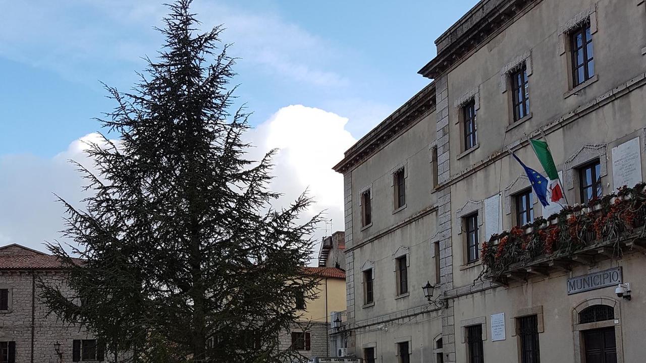 Oggi l’accensione dell’albero di Natale
