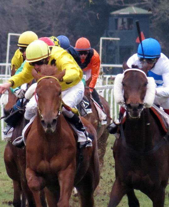 Sul prato degli Escoli è l’ora del Criterium 