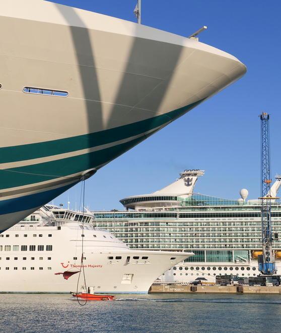 «Nel 2019 arriveranno più di 400 love boat»