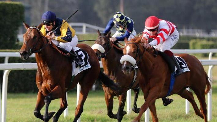 The Only Way ribalta i pronostici al Criterium