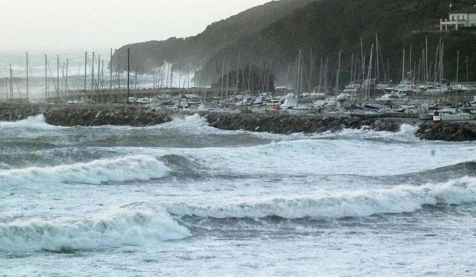 Giù due pini simbolo sul pratone di Baratti per colpa del ponente che soffiava a 100 all’ora 