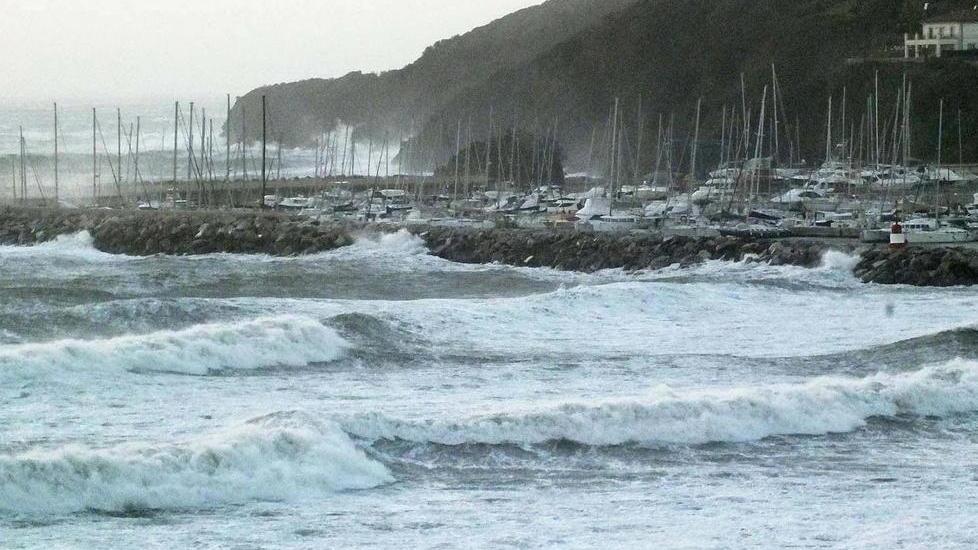 Giù due pini simbolo sul pratone di Baratti per colpa del ponente che soffiava a 100 all’ora