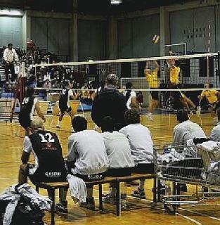 Volley, vietato fermarsi