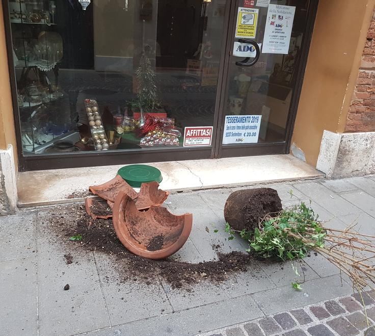 Atti vandalici davanti all’Ado
