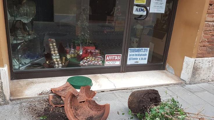 Atti vandalici davanti all’Ado