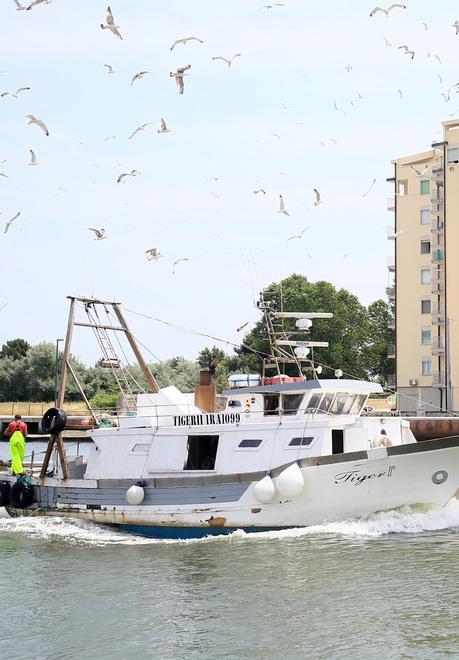 Settimana in mare per poter garantire il pesce dei cenoni 