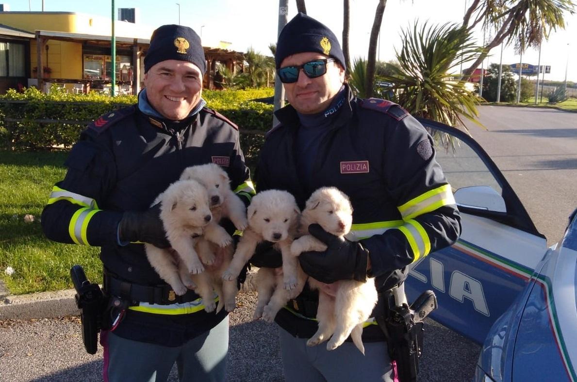 Gli agenti della Polstrada con i cuccioli salvati