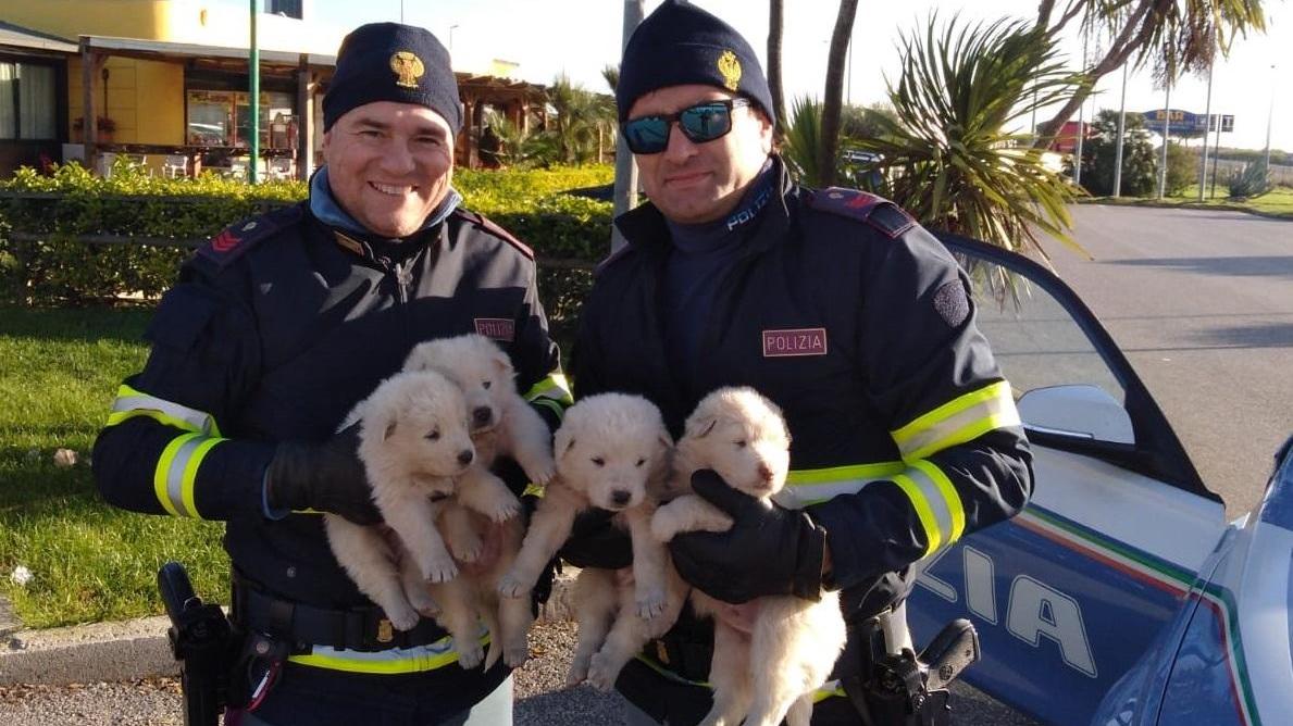 Gli agenti della Polstrada con i cuccioli salvati
