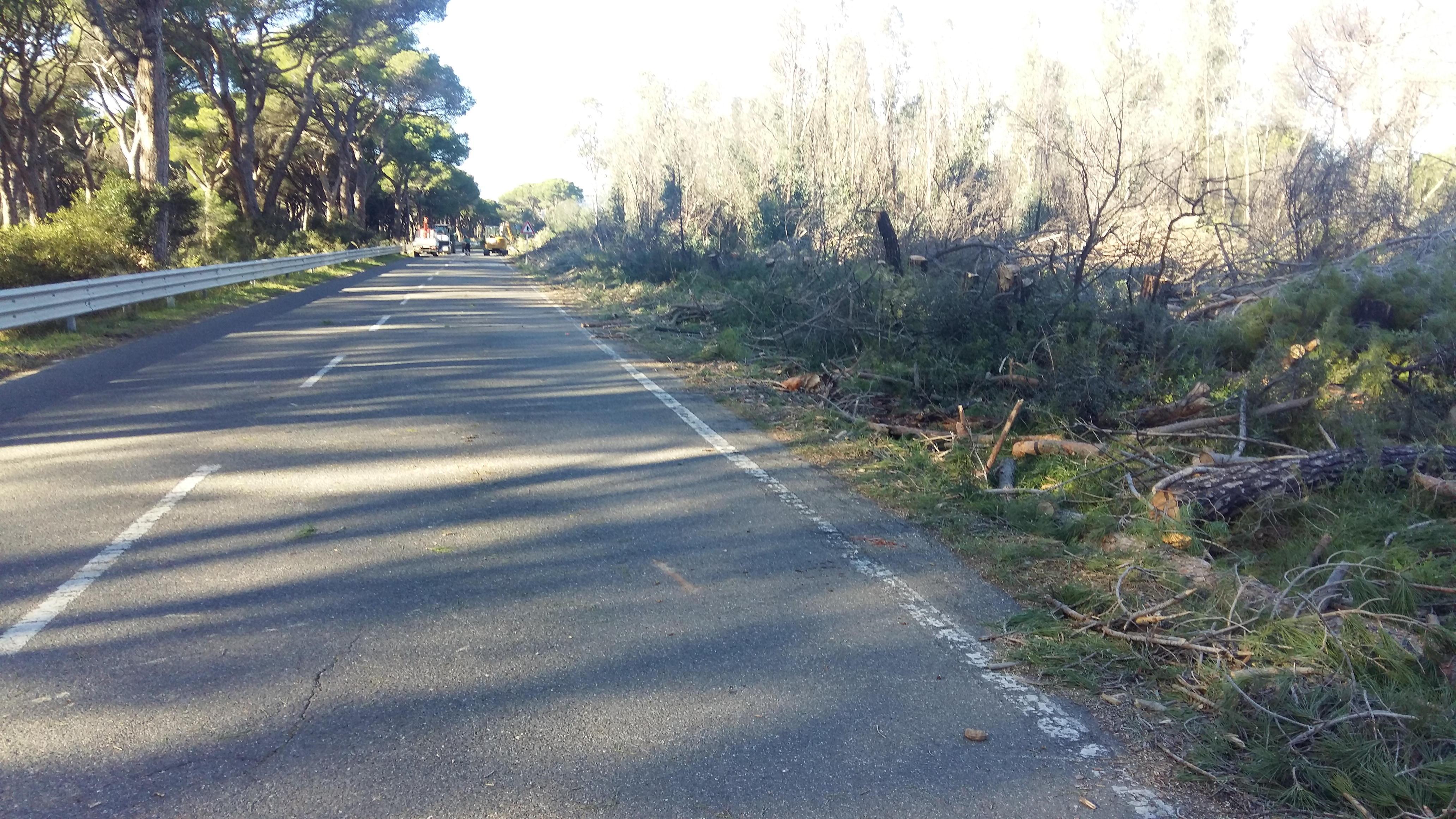 La strada delle Collacchie