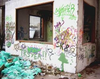 Alcuni scorci che testimoniano lo stato di grave degrado in cui versano le ex officine Gozzini a Santa Croce, per le quali il progetto di trasformazione in un’area residenziale di lusso non è mai decollato