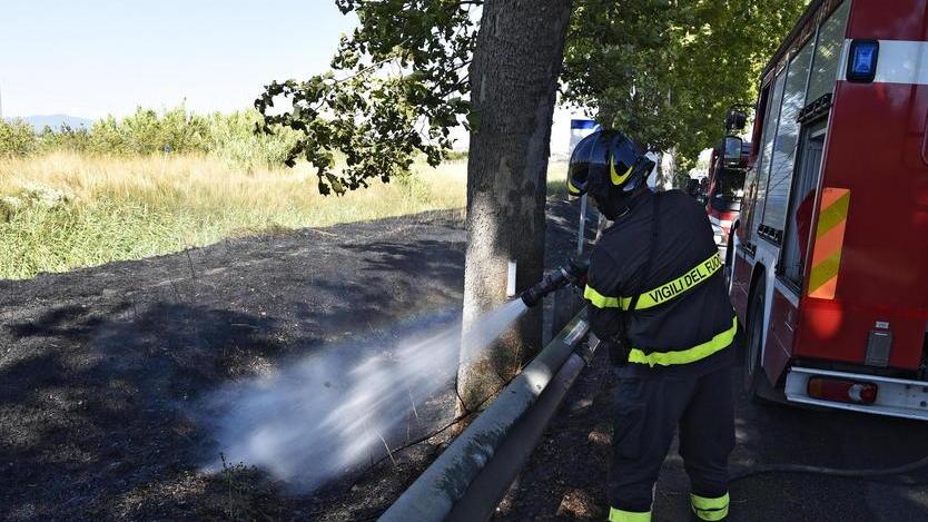 Il vento fa crollare i pini sulle Collacchie Strada chiusa, al via gli abbattimenti