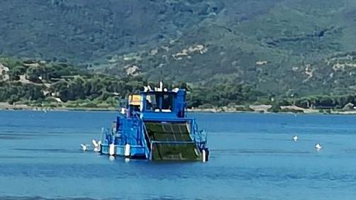 «Laguna, parliamone in assemblea pubblica o consiglio comunale»