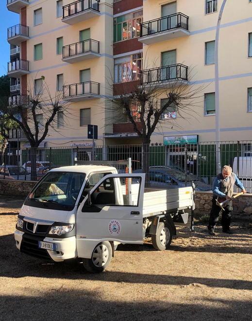 Rimosso il pino caduto nel cortile della scuola ma resta la polemica 