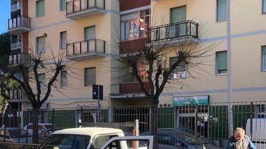 Rimosso il pino caduto nel cortile della scuola ma resta la polemica