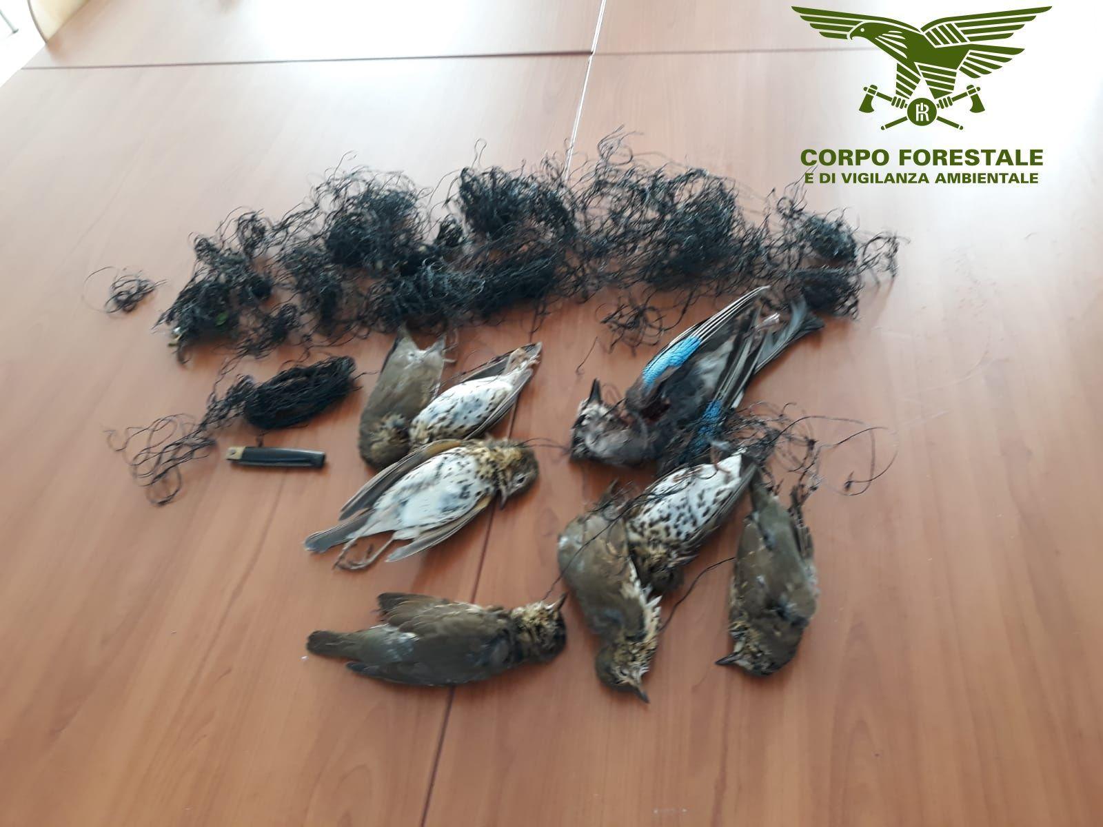 Capoterra, bracconiere denunciato dai forestali
