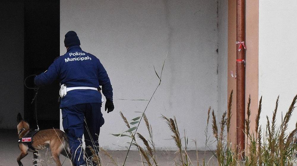 Un agente della Municipale entra in uno degli appartamenti occupati con il cane antidroga (foto agenzia Bf)