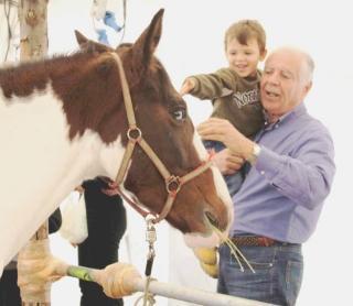 <strong>ANIMALI STAR. </strong>A sinistra un bimbo accarezza uno splendido cavallo Sotto la folla di persone che si sono date appuntamento alla Fiera