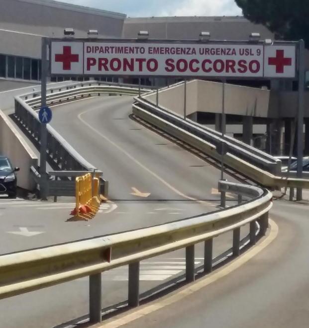 Due anni senza uscire fuori, cane azzanna proprietario 