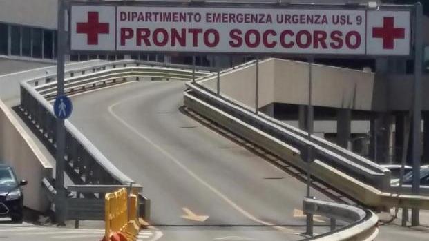 Due anni senza uscire fuori, cane azzanna proprietario