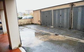 La “melma” in giro per il cortile del palazzo. Sotto una Maria Serena Piccioloni