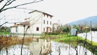 Le campagne di Nozzano alluvionate: qui sorgerà il depuratore
