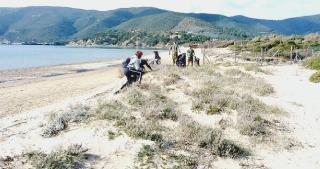 La zona dunale a due passi dalla spiaggia di Lacona che un comitato di cittadini intende acquistare