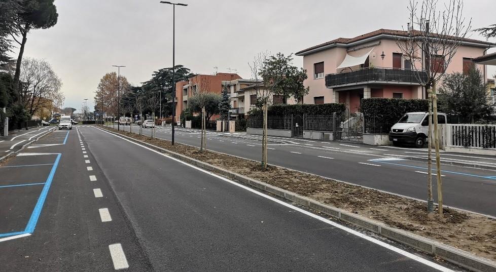 Magnolie e tigli, decine di nuove piante nelle strade di Sant’Anna