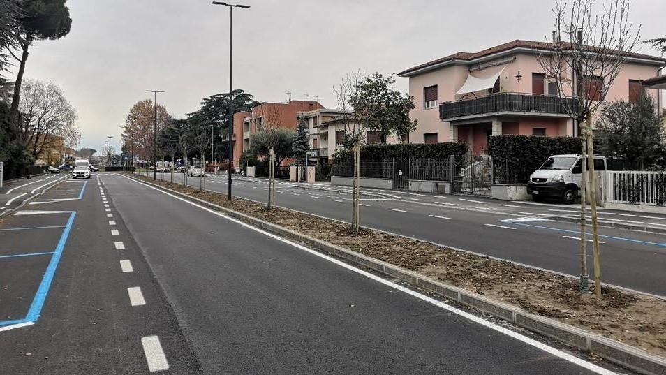 Magnolie e tigli, decine di nuove piante nelle strade di Sant’Anna