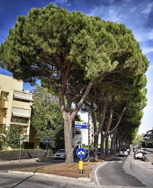 M5s contro i tagli «Illecito urbanistico» 